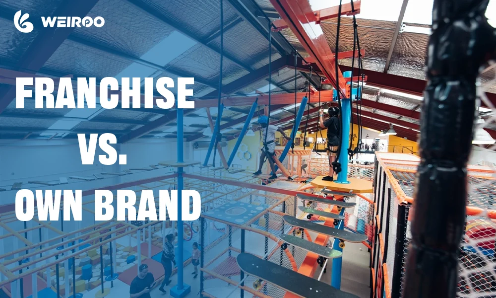 A split-screen conceptual graphic. On one side, a recognizable corporate logo or "chain" storefront (representing a franchise); on the other side, a bright, unique hand-painted sign being hung over a doorway (representing an independent brand). The lighting should be balanced to show the "pros" of both paths.